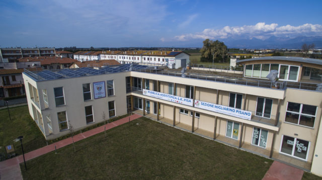 migliarino (1)
